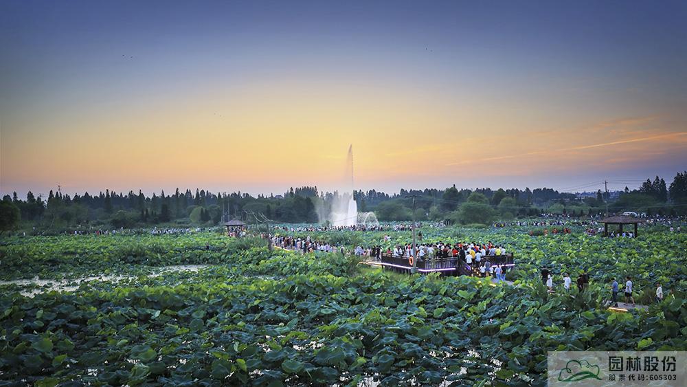 电竞比赛押注app