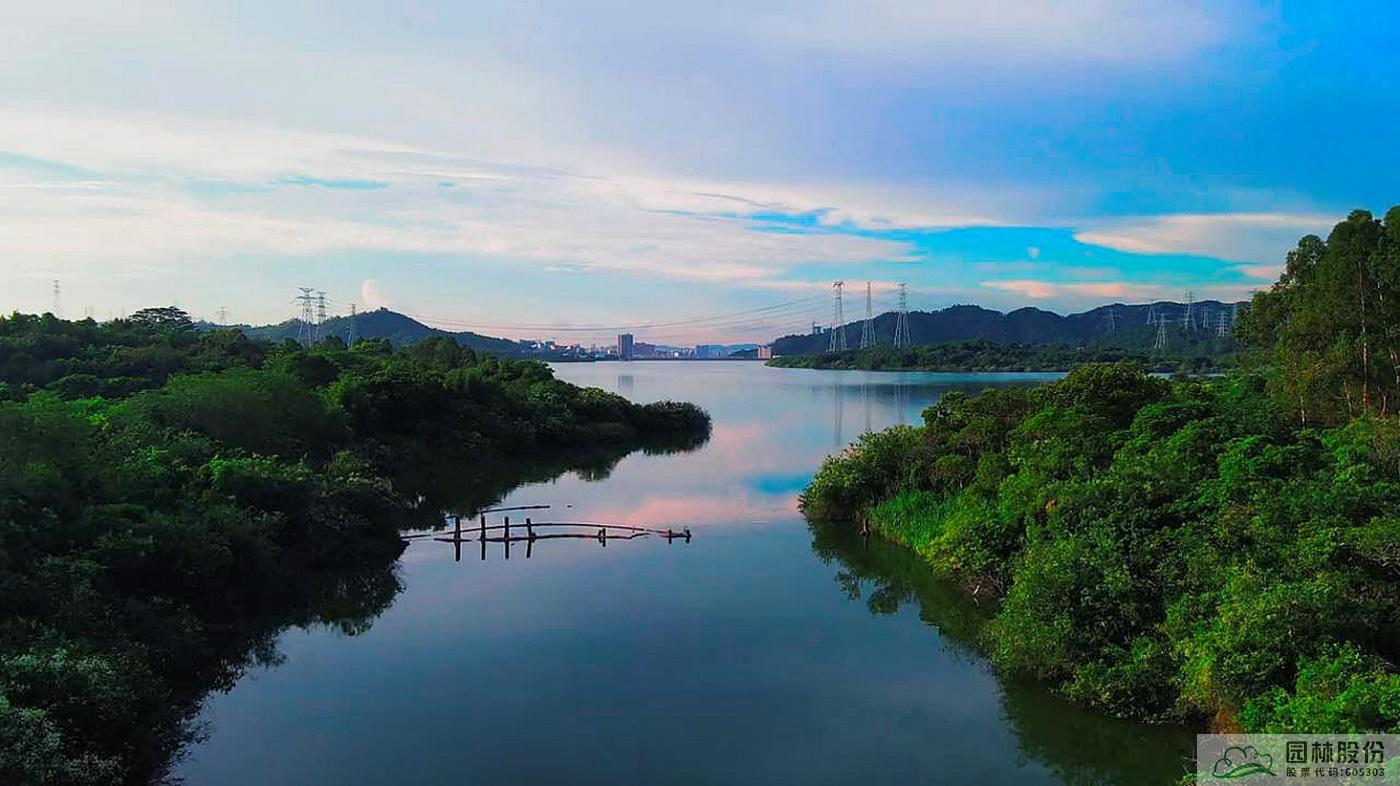 电竞比赛押注app