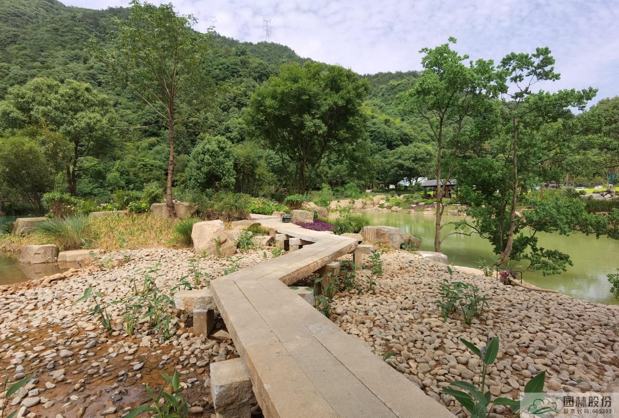 电竞比赛押注app