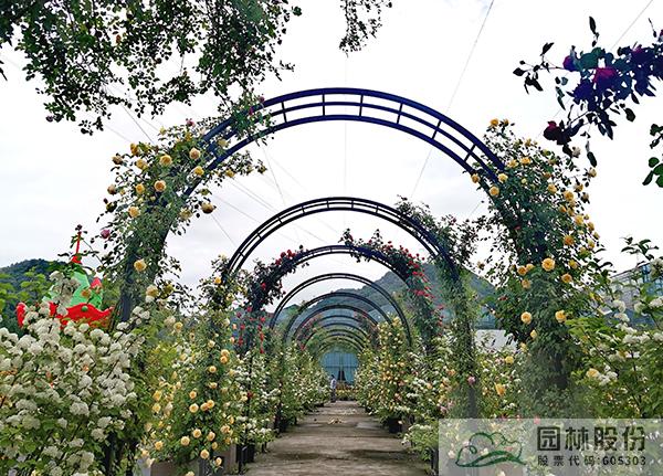 电竞比赛押注app