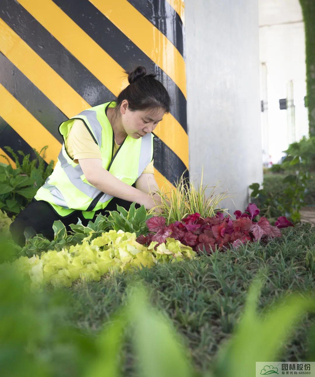 电竞比赛押注app