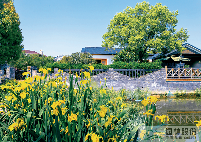 电竞比赛押注app