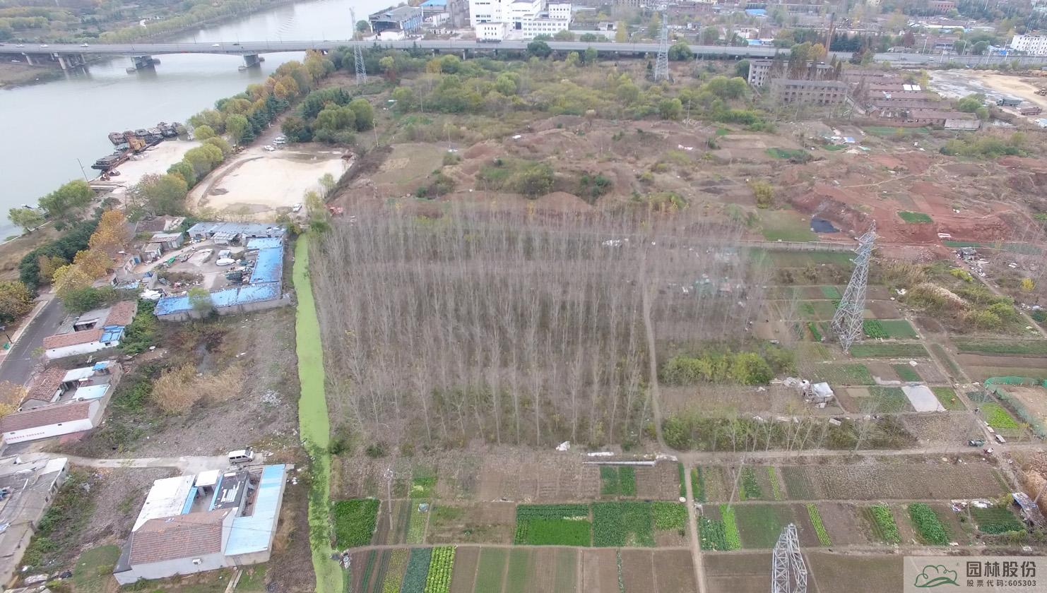 电竞比赛押注app