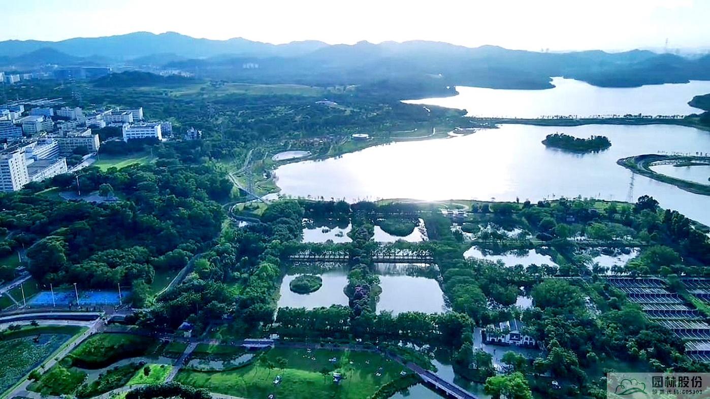 电竞比赛押注app