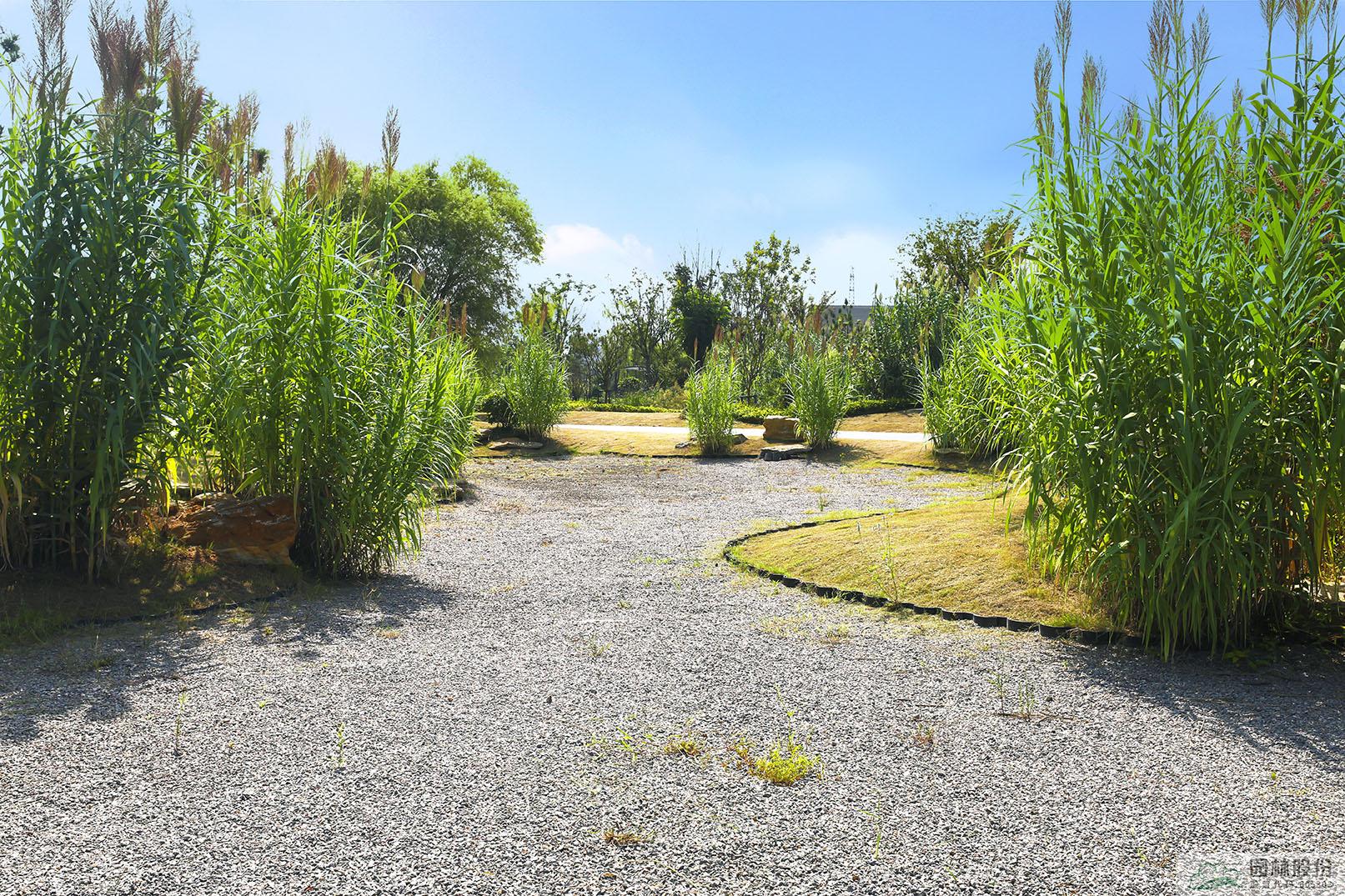 电竞比赛押注app