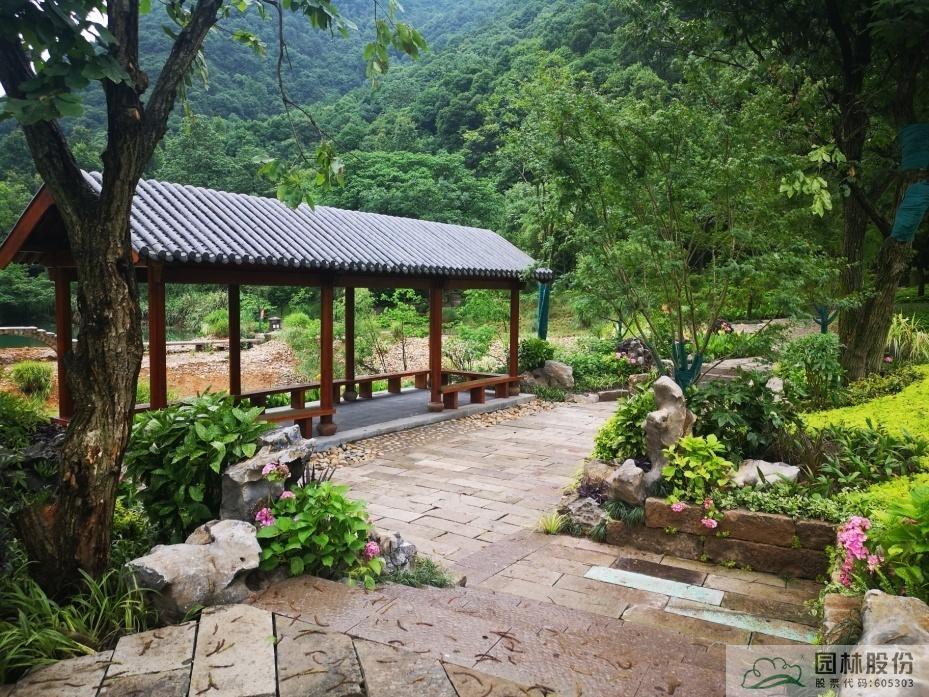 电竞比赛押注app