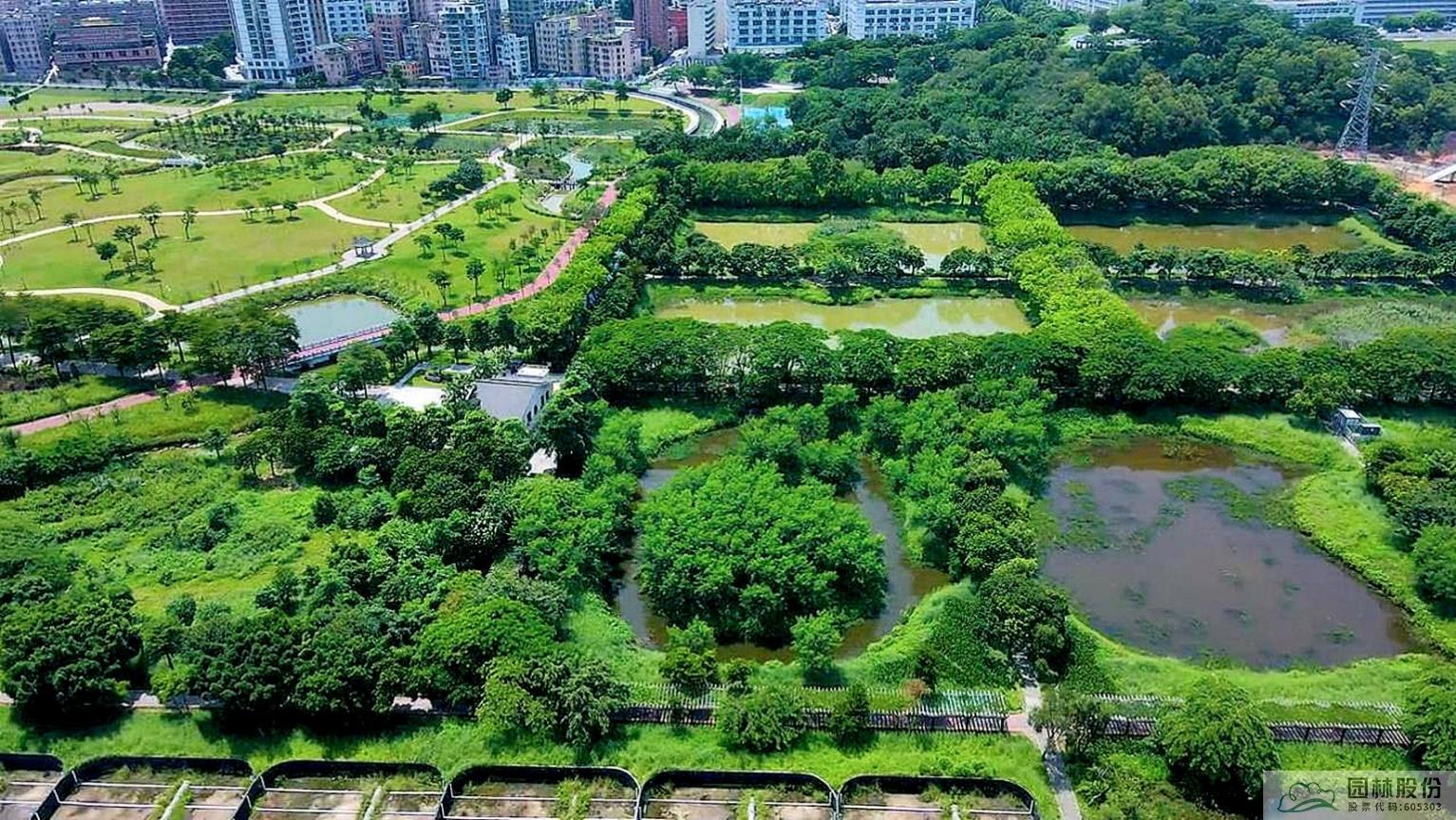 电竞比赛押注app