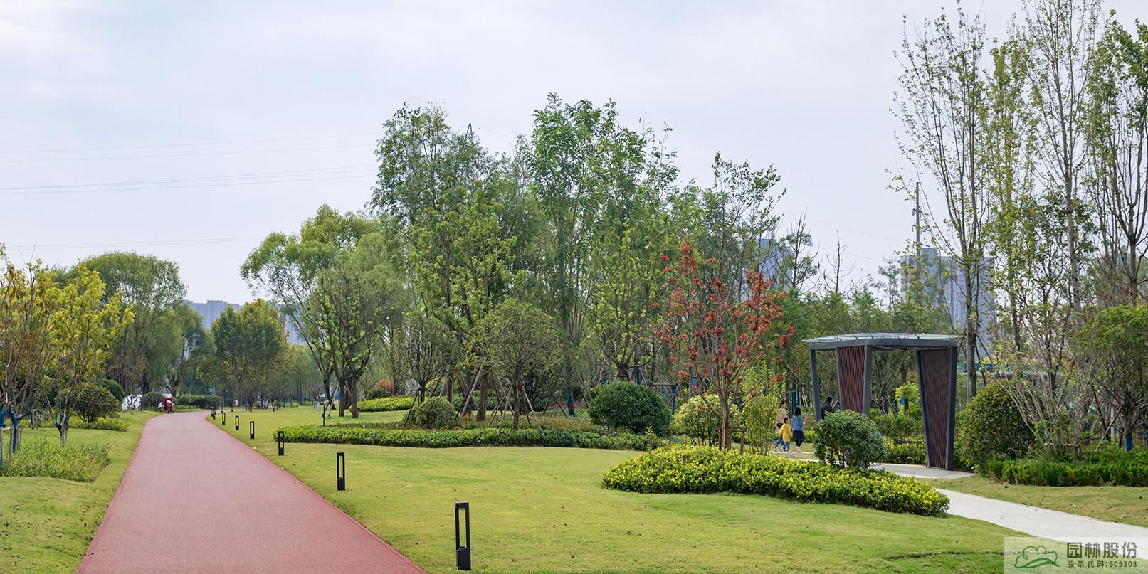 电竞比赛押注app