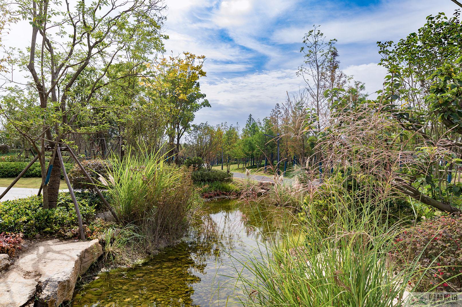 电竞比赛押注app