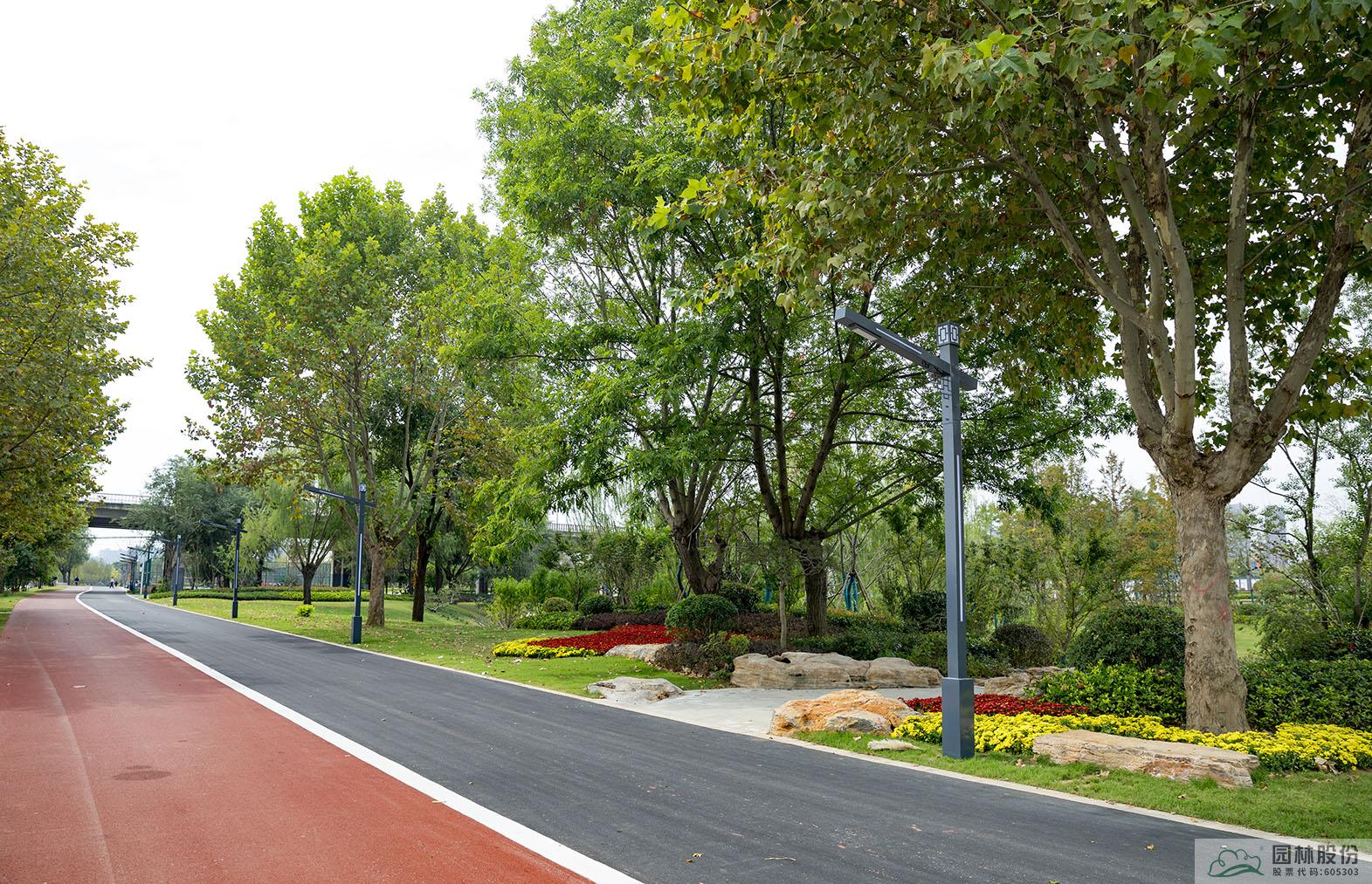 电竞比赛押注app