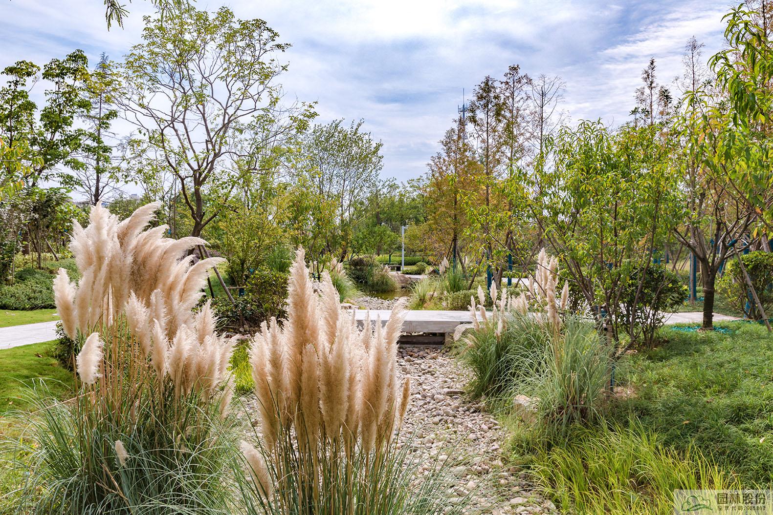 电竞比赛押注app