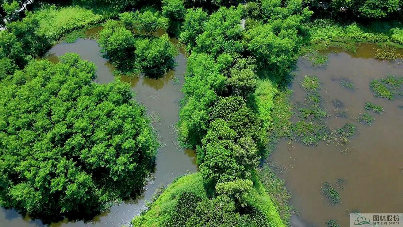 电竞比赛押注app