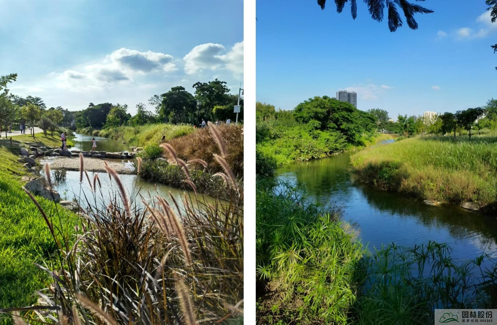 电竞比赛押注app