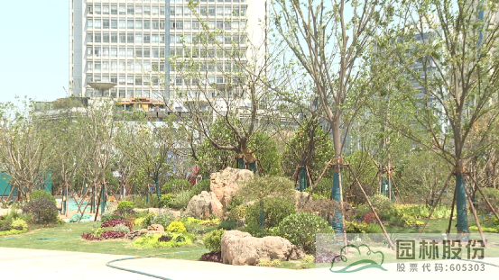 电竞比赛押注app