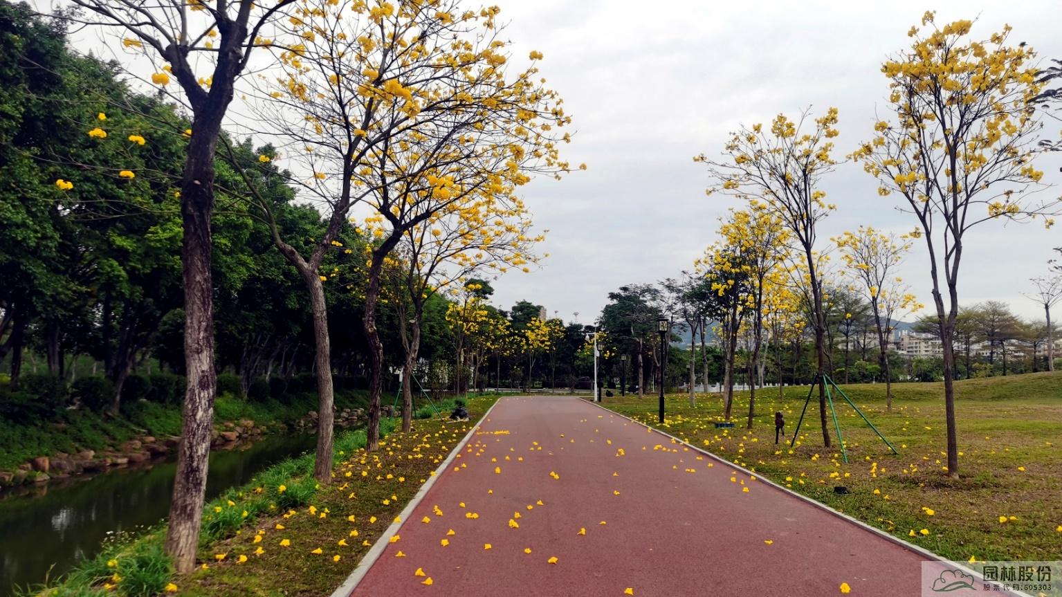 电竞比赛押注app