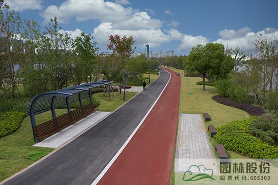 电竞比赛押注app