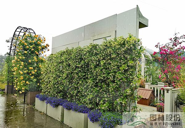 电竞比赛押注app