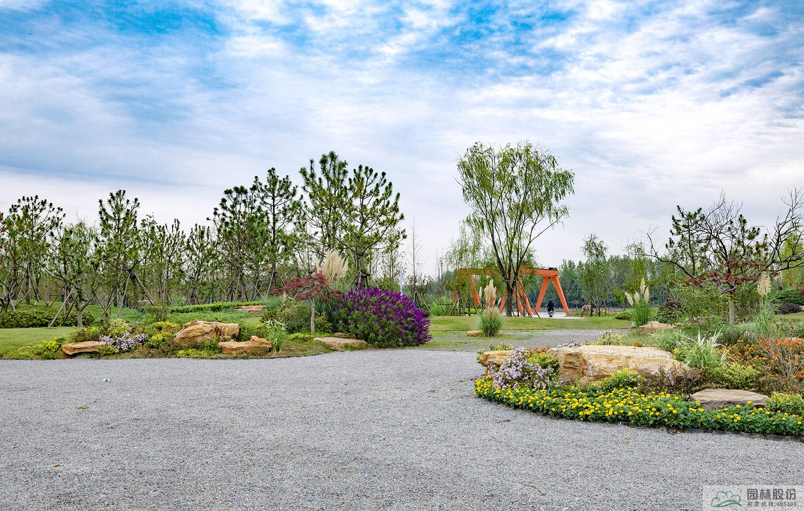 电竞比赛押注app