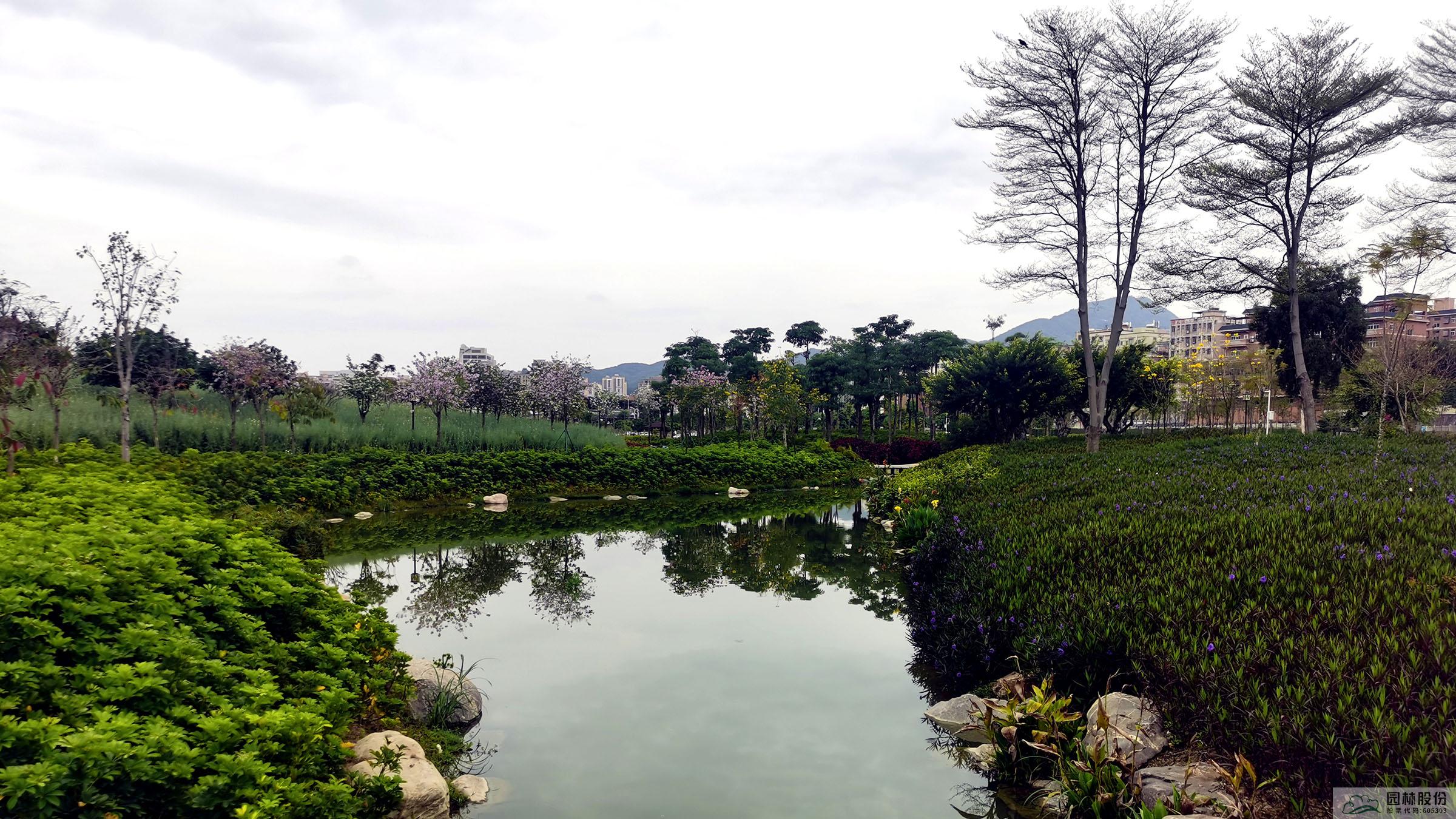 电竞比赛押注app