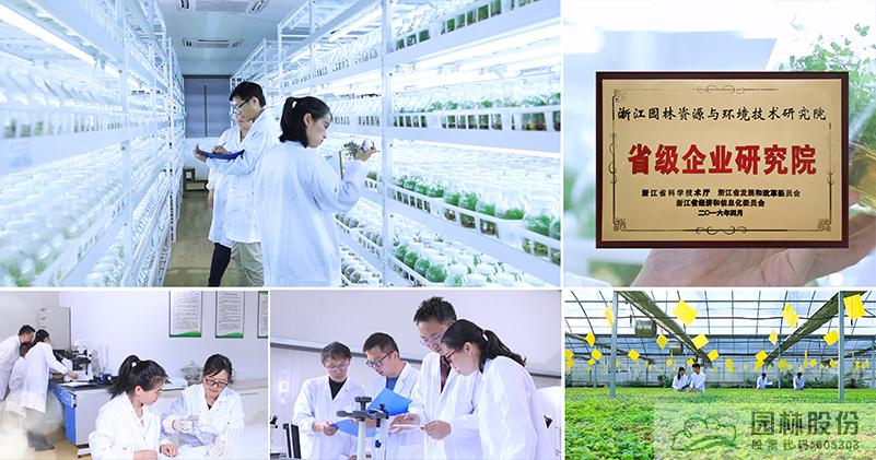 电竞比赛押注app