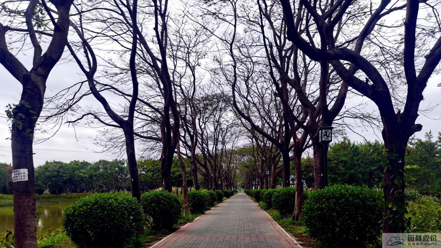 电竞比赛押注app