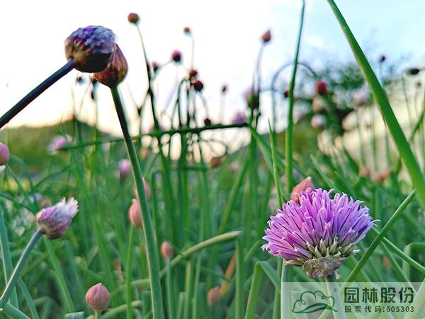 电竞比赛押注app