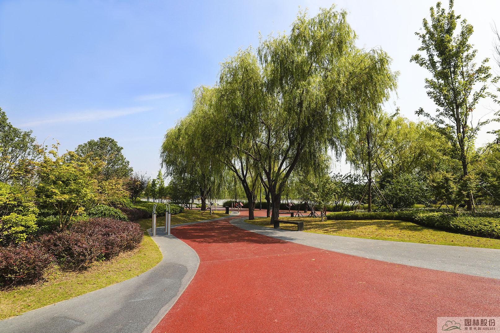 电竞比赛押注app