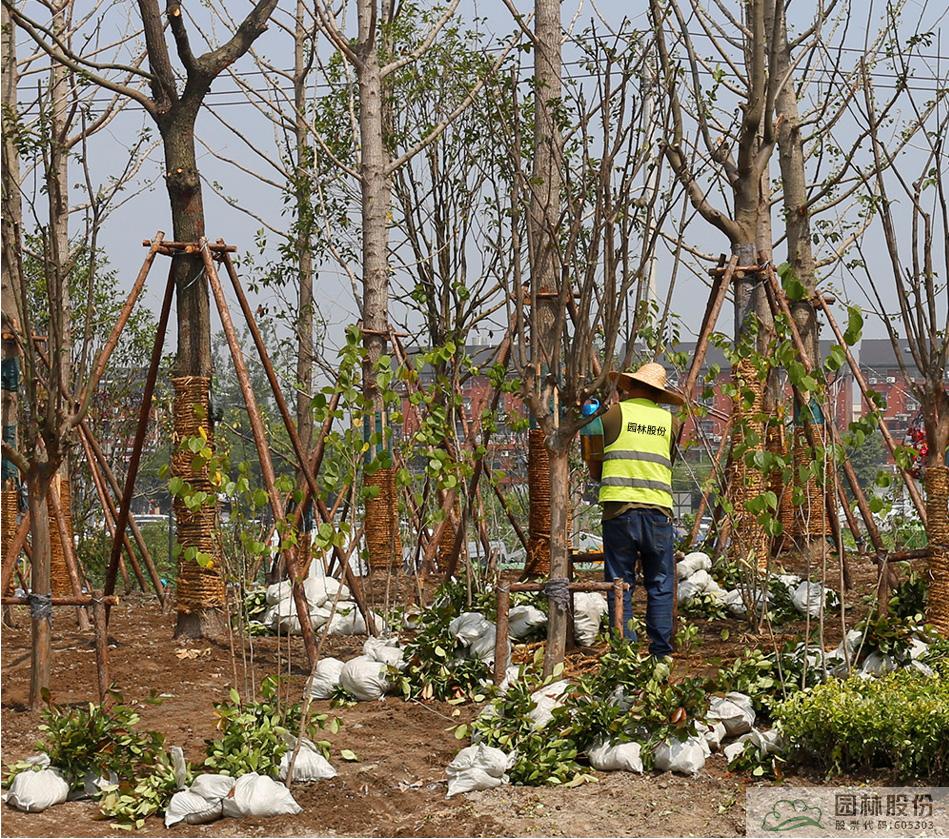 电竞比赛押注app