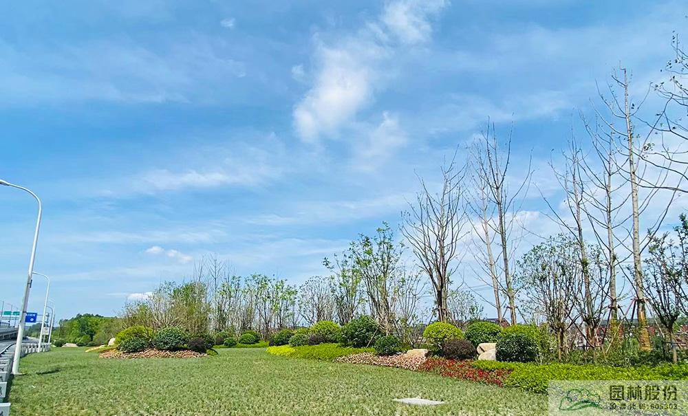 电竞比赛押注app