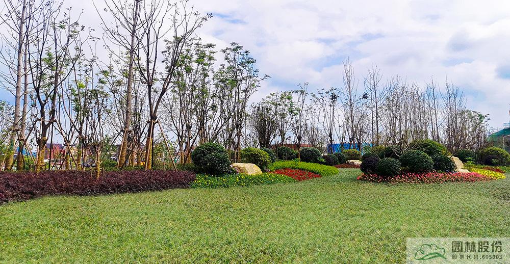 电竞比赛押注app