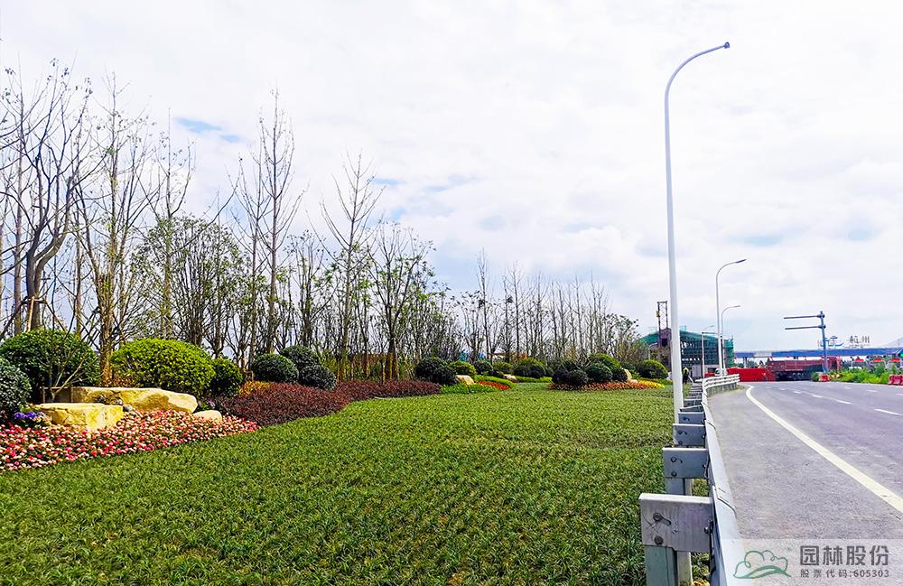 电竞比赛押注app