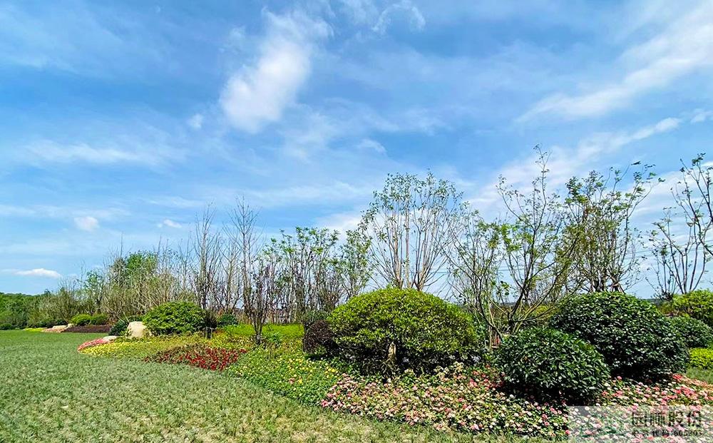 电竞比赛押注app