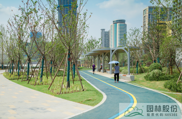 电竞比赛押注app