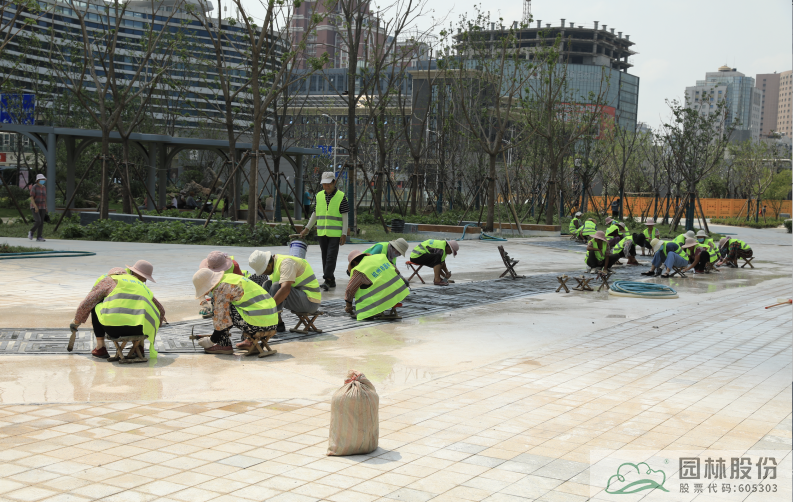 电竞比赛押注app