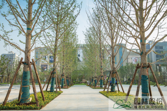 电竞比赛押注app