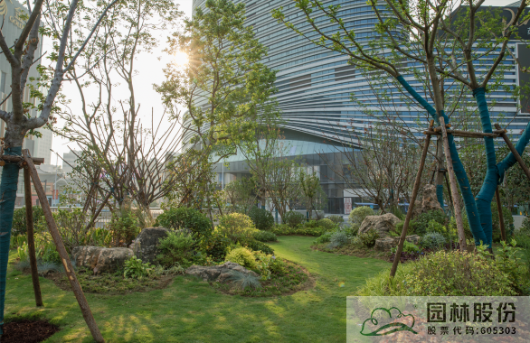 电竞比赛押注app