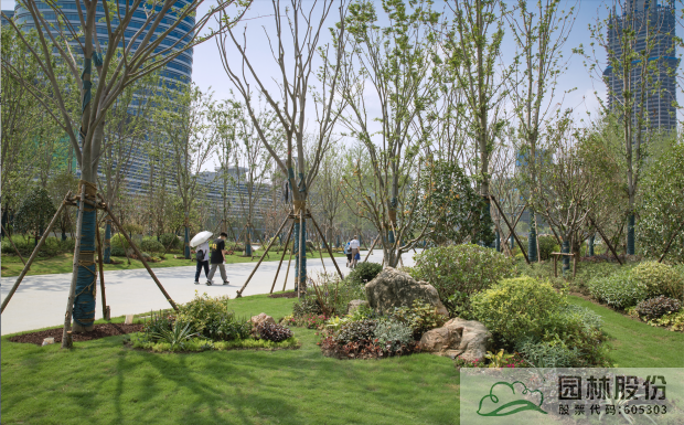 电竞比赛押注app