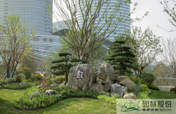 电竞比赛押注app