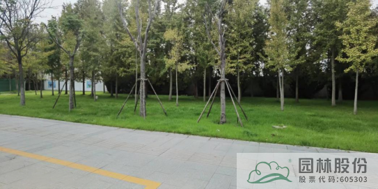 电竞比赛押注app