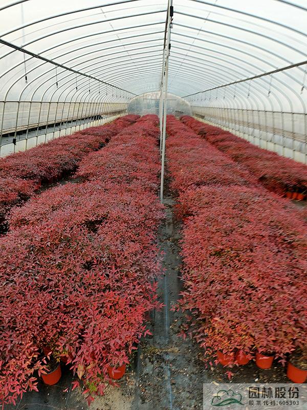 电竞比赛押注app