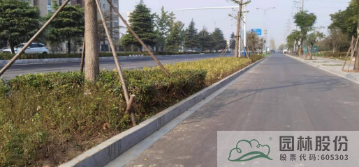 电竞比赛押注app