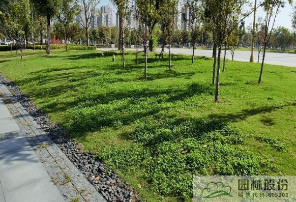 电竞比赛押注app