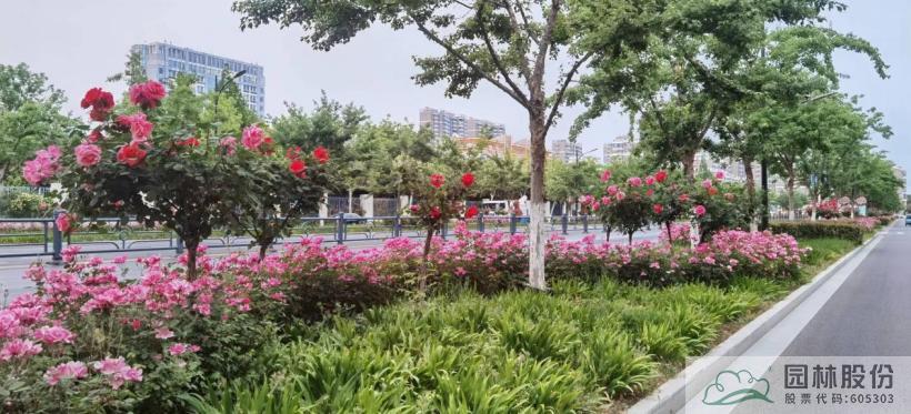 电竞比赛押注app