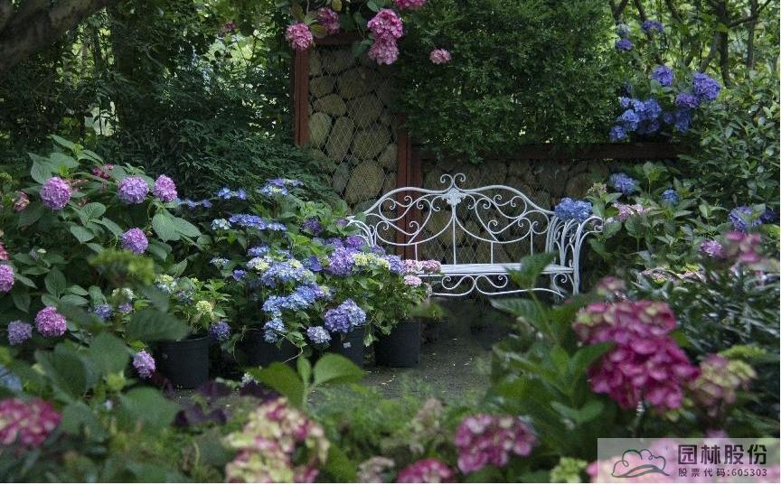 电竞比赛押注app