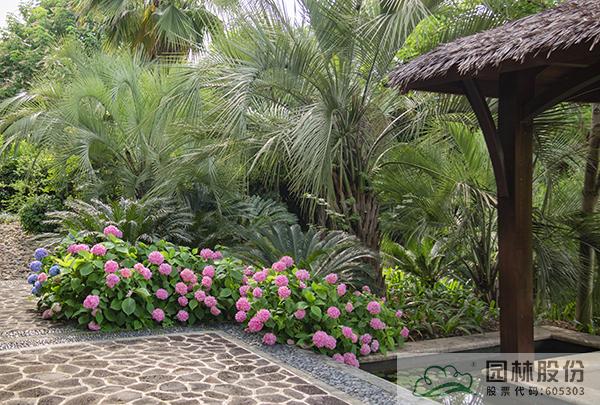 电竞比赛押注app