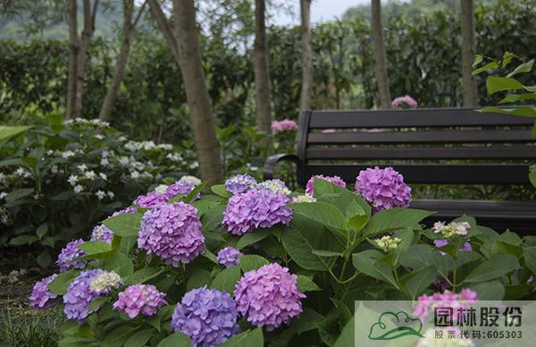 电竞比赛押注app