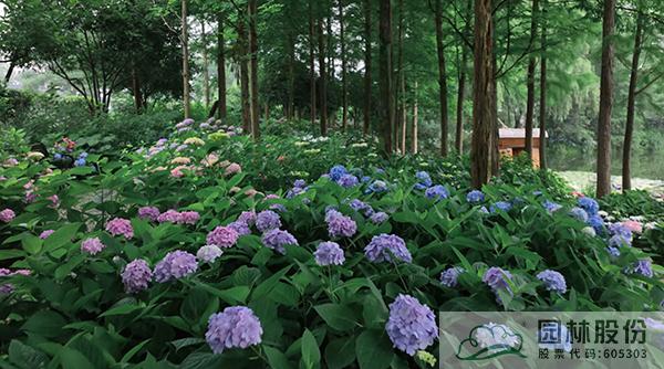 电竞比赛押注app