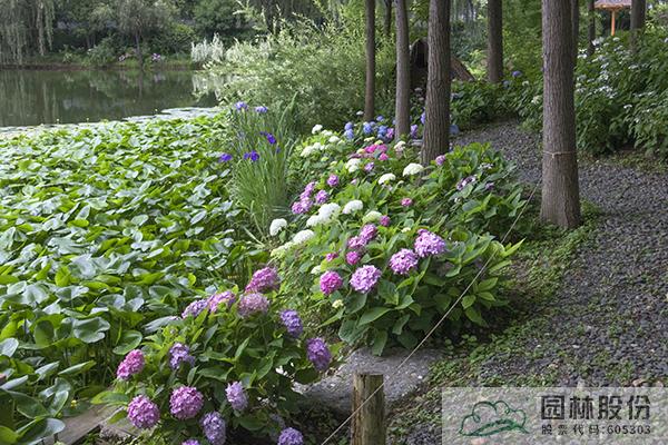 电竞比赛押注app