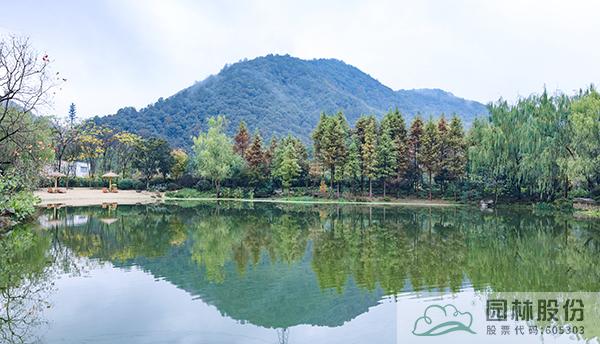 电竞比赛押注app