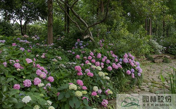 电竞比赛押注app